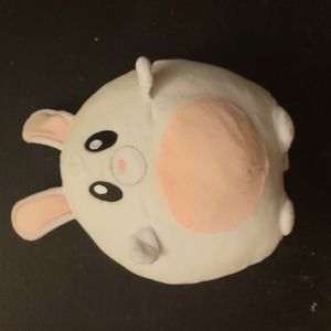 Stuffed bunny